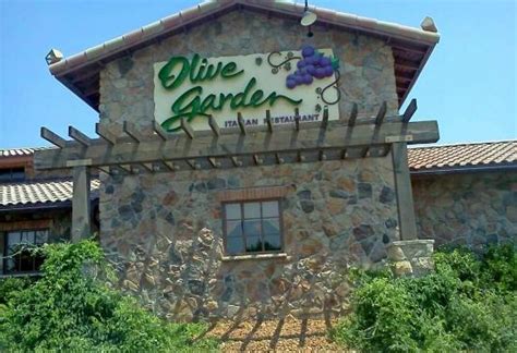 Olive garden jackson tn - 